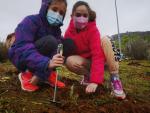 Actividades en el CEIP Ramón y Cajal de Alpartir por el Día del Árbol.