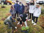 Actividades en el CEIP Ramón y Cajal de Alpartir por el Día del Árbol.