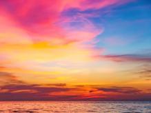 Tropical colorful