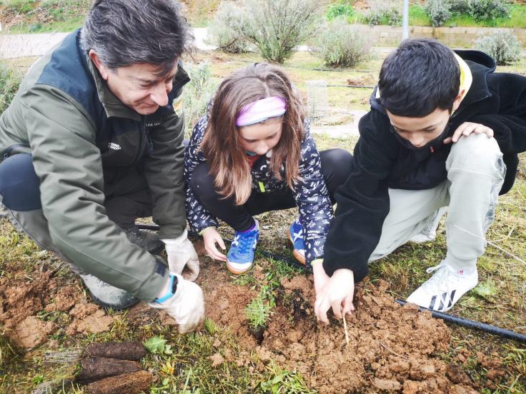 Actividades en el CEIP Ramón y Cajal de Alpartir por el Día del Árbol.