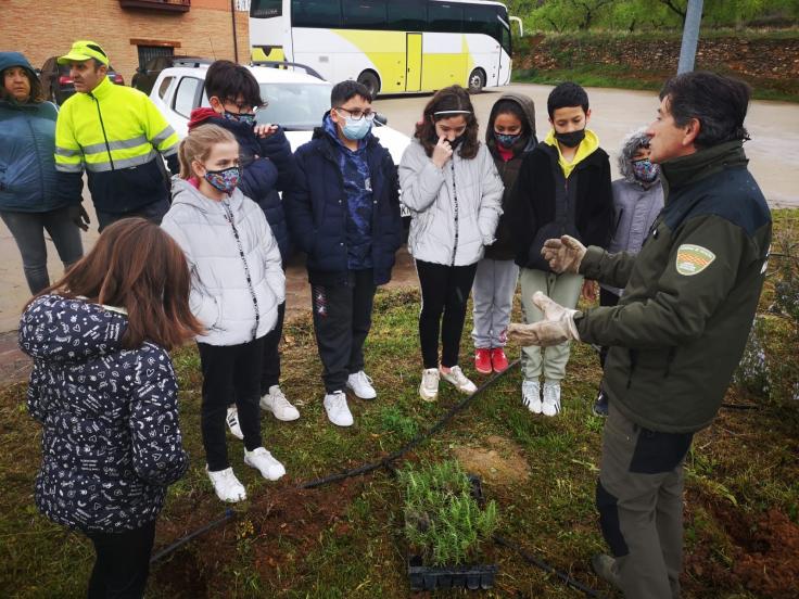 Actividades en el CEIP Ramón y Cajal de Alpartir por el Día del Árbol.