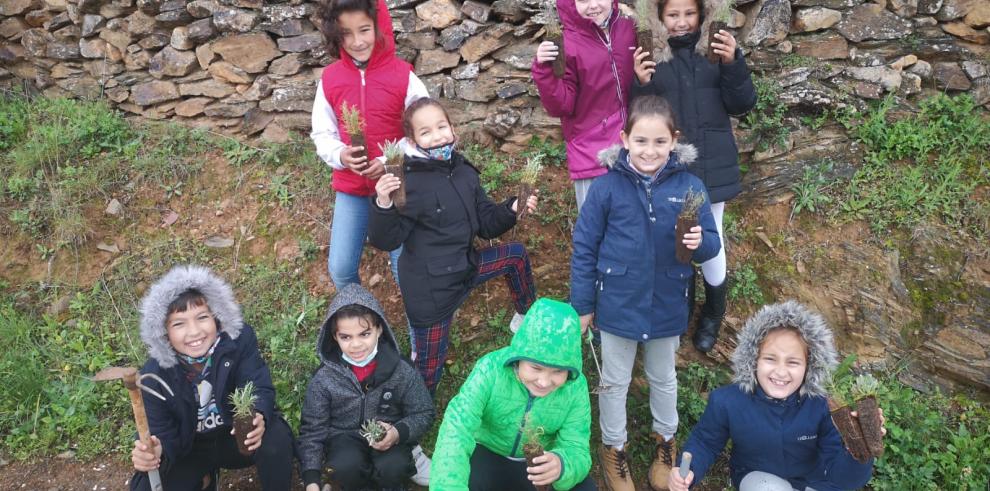 Actividades en el CEIP Ramón y Cajal de Alpartir por el Día del Árbol.