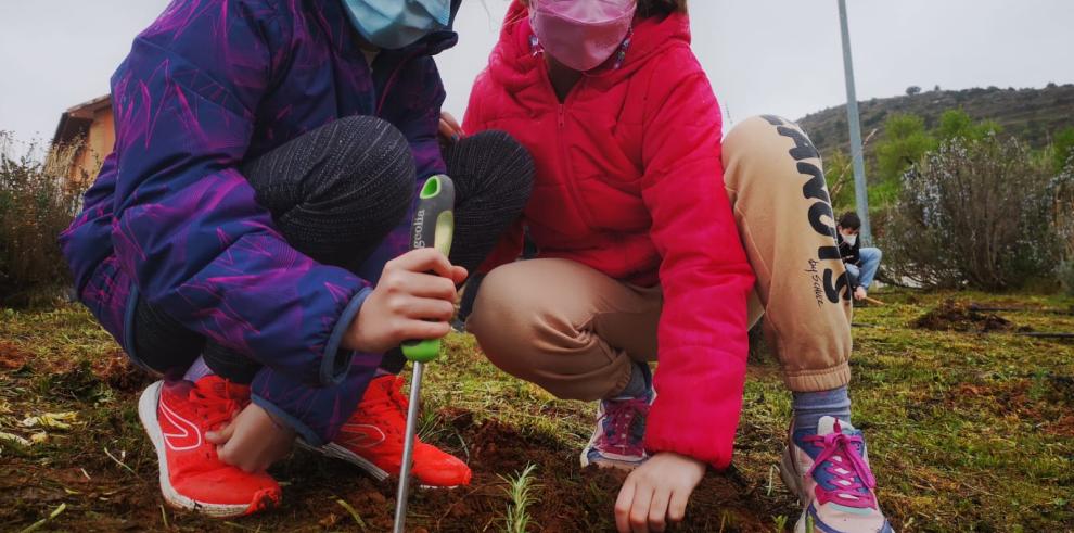 Actividades en el CEIP Ramón y Cajal de Alpartir por el Día del Árbol.