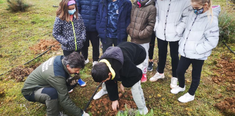 Actividades en el CEIP Ramón y Cajal de Alpartir por el Día del Árbol.