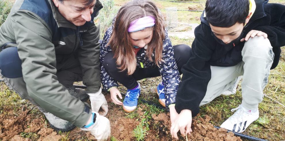 Actividades en el CEIP Ramón y Cajal de Alpartir por el Día del Árbol.